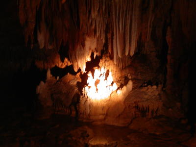 0204d_pict0009.jpg 0204d_pict0009.jpg