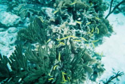 wp_2-10-2006-31.jpg