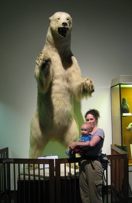 img_0703_cr.jpg