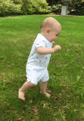 img_0736_cr.jpg