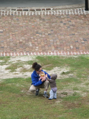 img_0750_cr.jpg