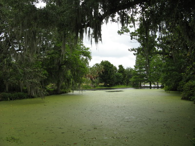 img_0785.jpg