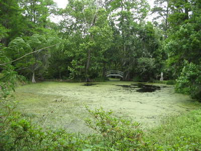 img_0789.jpg