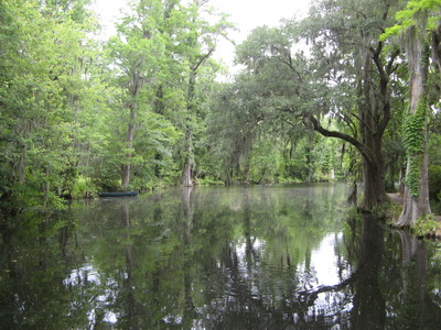 img_0798.jpg