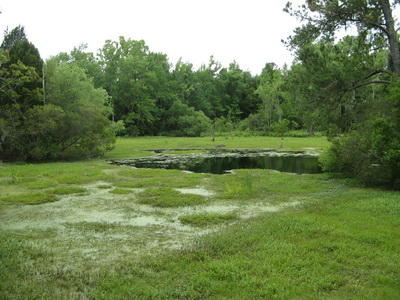img_0823.jpg