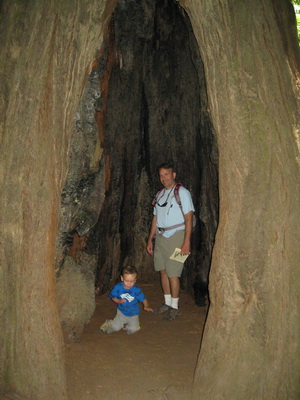 img_3490.jpg