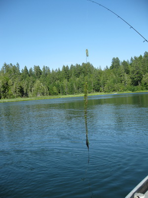 img_3594.jpg