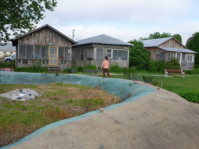 p1000461_cr.jpg