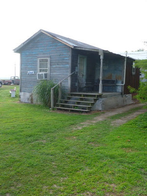 p1000462_cr.jpg
