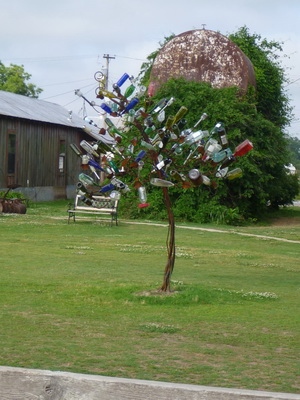 p1000465_cr.jpg