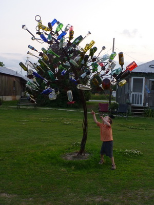 p1000478_cr.jpg