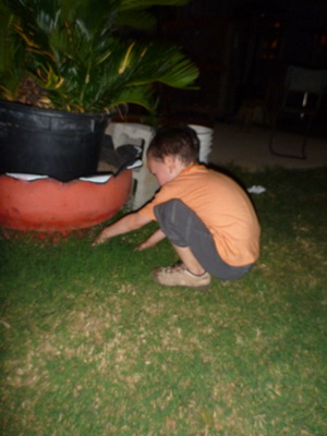 p1000482.jpg