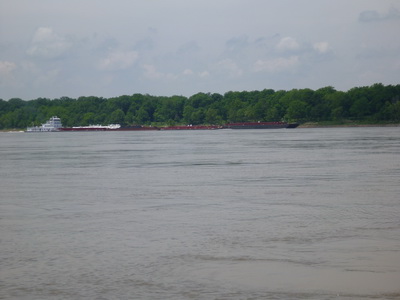 p1000499.jpg