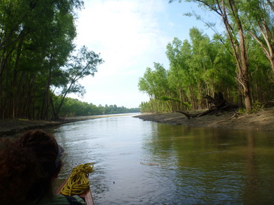 p1000515.jpg