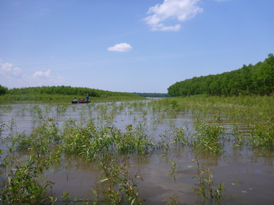 p1000555.jpg
