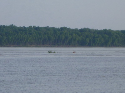 p1000573_cr.jpg