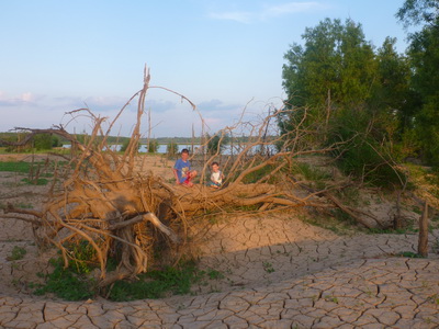 p1000581.jpg
