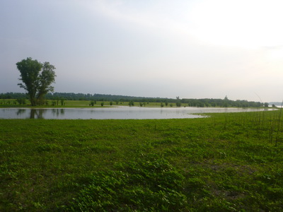 p1000604.jpg