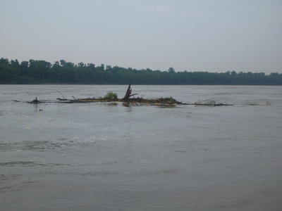 p1000611.jpg