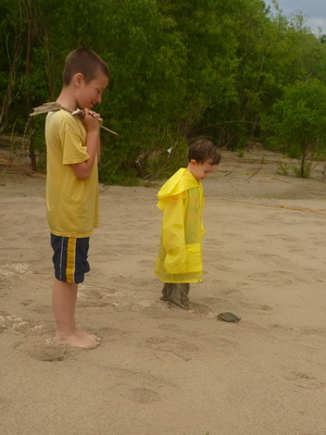 p1000629_cr.jpg