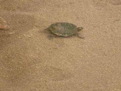 p1000631.jpg