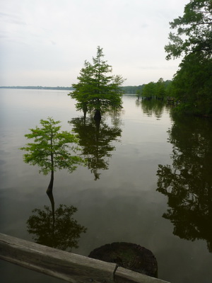 p1000647.jpg
