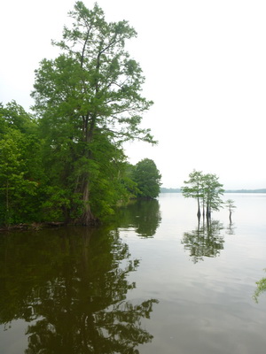 p1000648.jpg