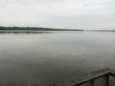 p1000650.jpg