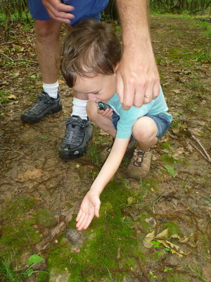 p1000663.jpg