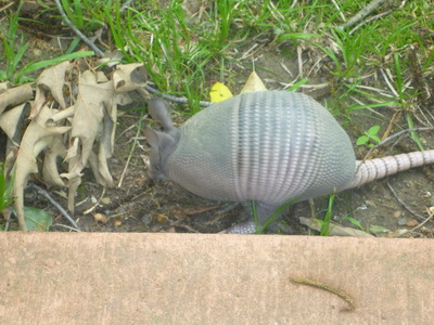 p1000698.jpg