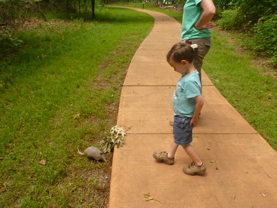 p1000708.jpg