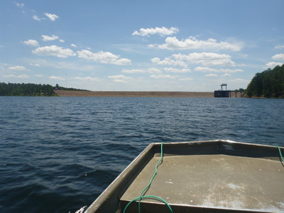 p1000713.jpg
