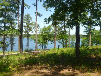 p1000716.jpg