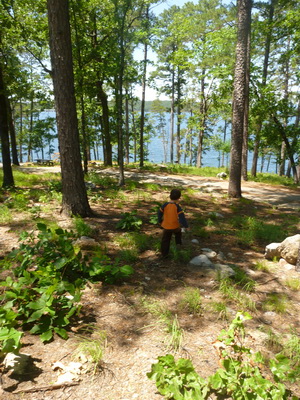 p1000718.jpg