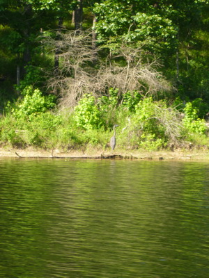 p1000739.jpg
