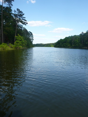 p1000740.jpg