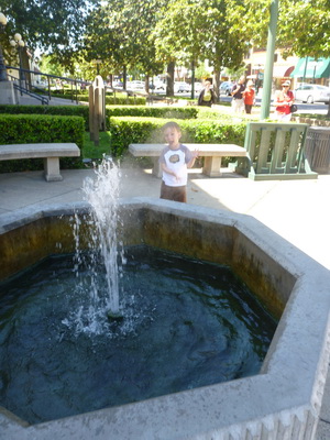 p1000753.jpg