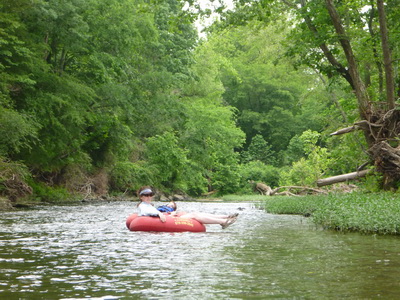 p1000767.jpg