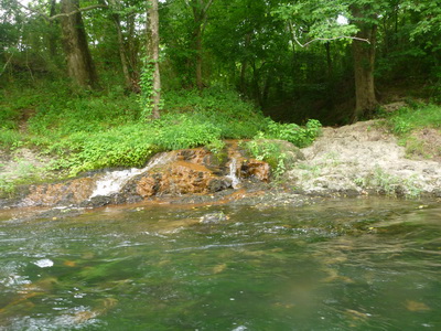 p1000770.jpg