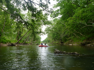 p1000771.jpg