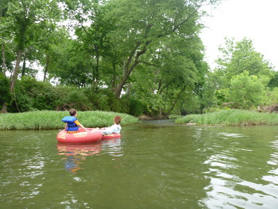 p1000781.jpg