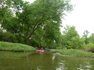 p1000782.jpg