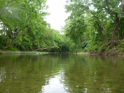 p1000785_cr.jpg