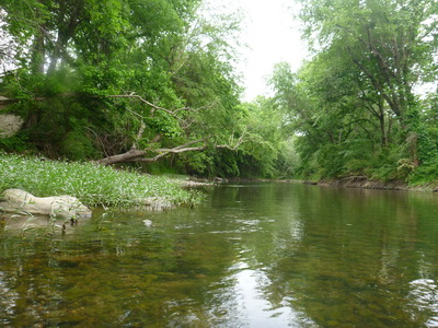 p1000787.jpg