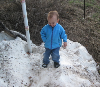 img_0986_cr.jpg