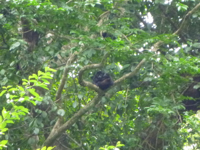 p1020476_cr.jpg