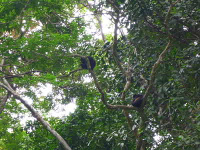 p1020484.jpg