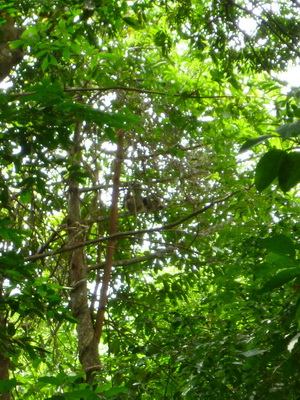 p1020488_cr.jpg