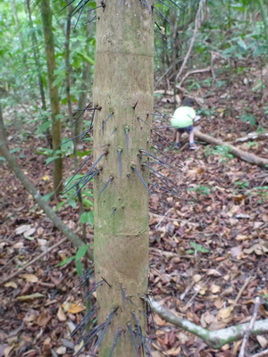 p1020495_cr.jpg