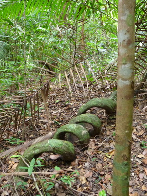 p1020499_cr.jpg